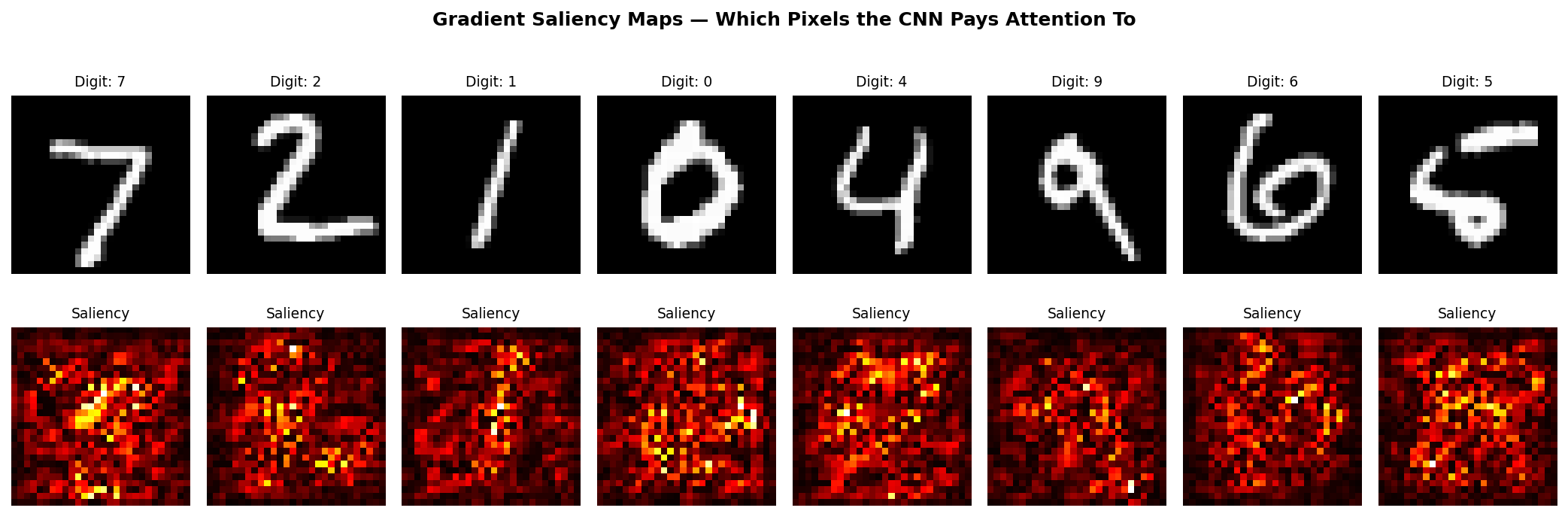 AI Algorithms from Scratch
